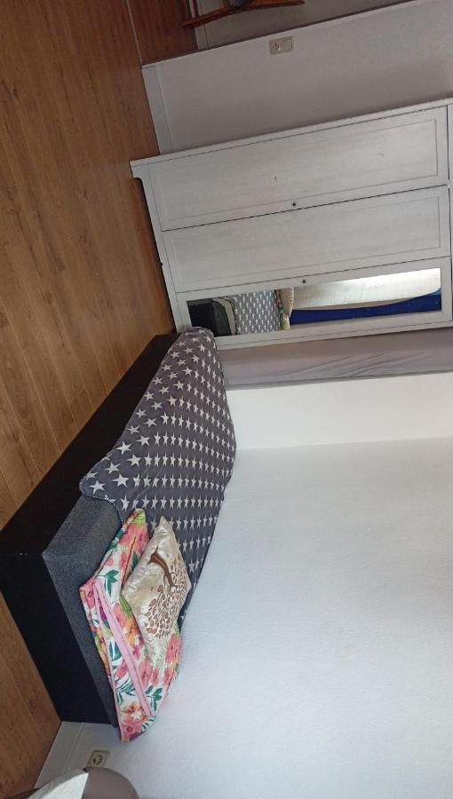 1 In A Shared Apartment,furnished *